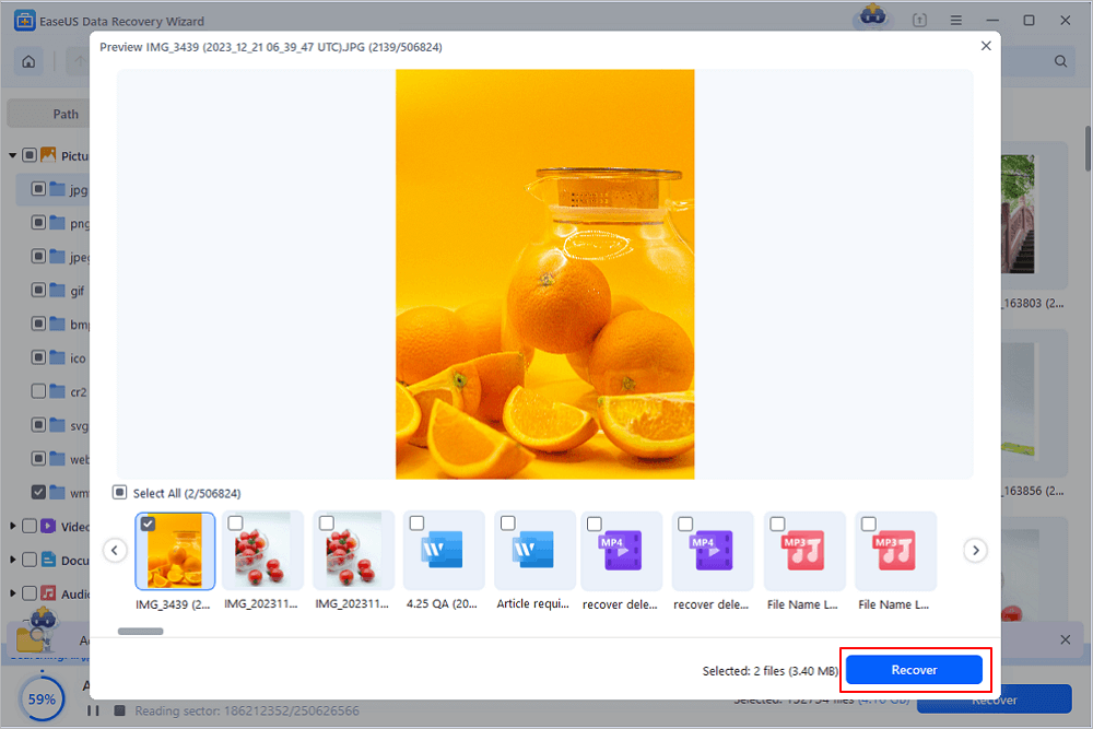 Prévisualisation de fichier dans EaseUS Data Recovery Wizard.